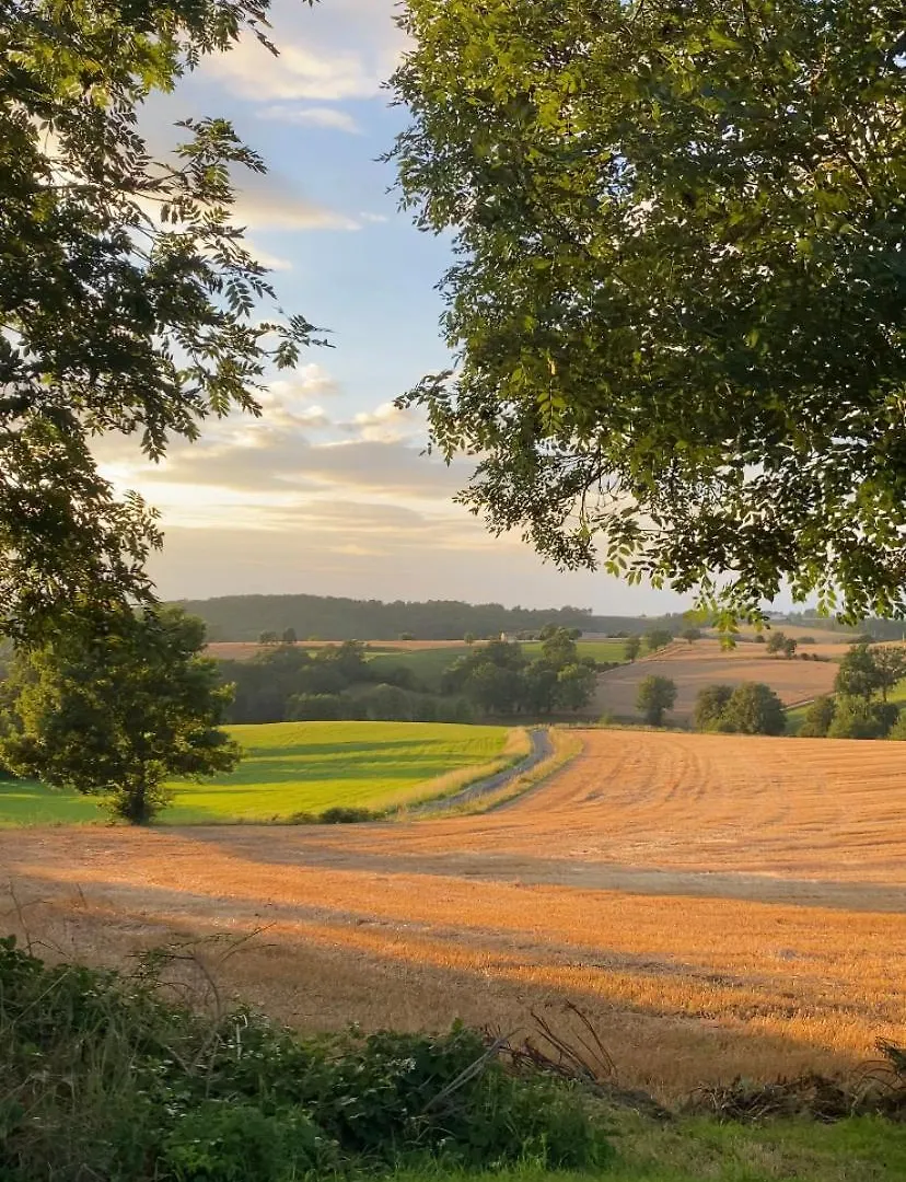 Chambre Jungle Vue Sur La Campagne A 15Min D'Albi Mouzieys-Teulet 0*,  France